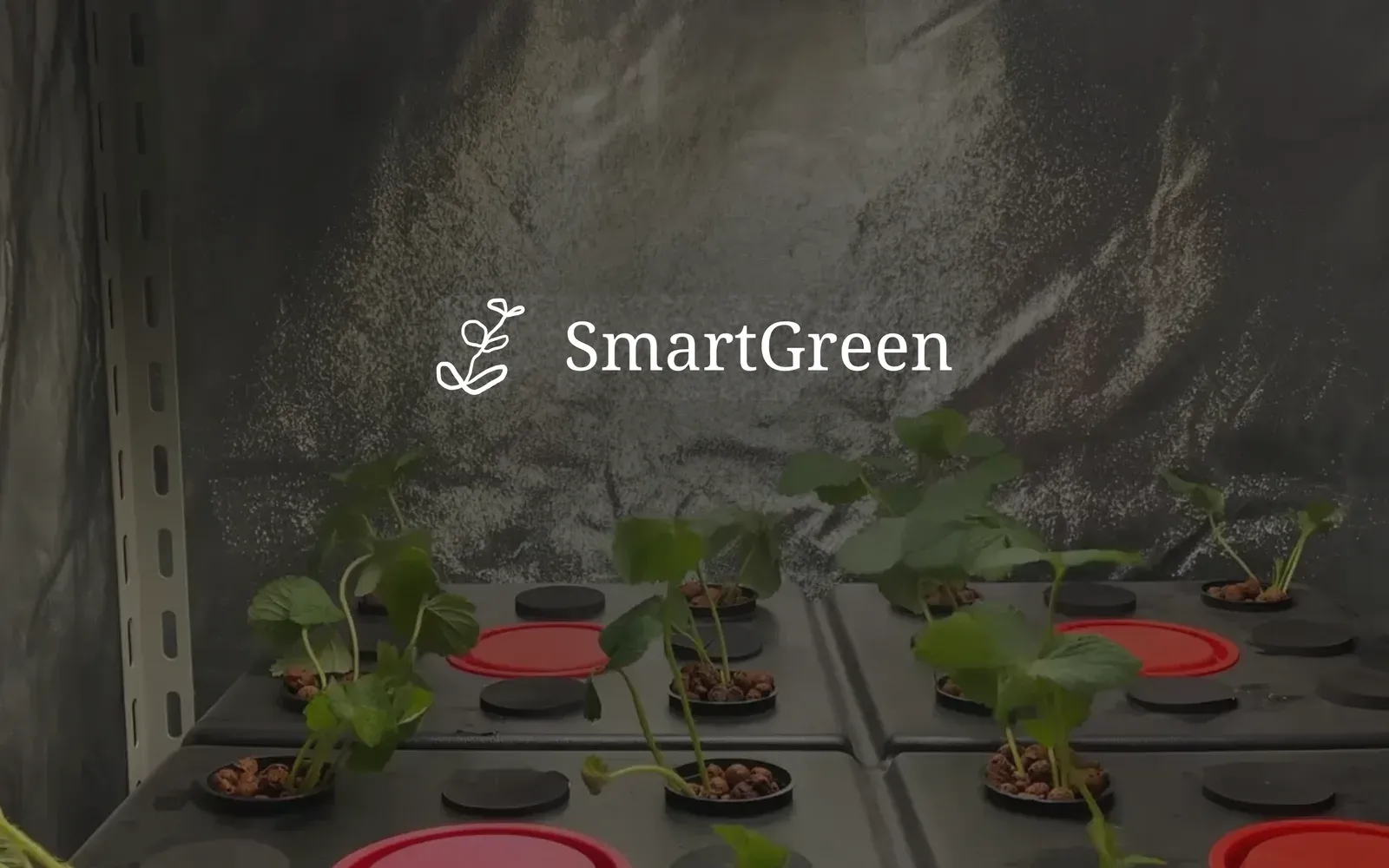SmartGreen