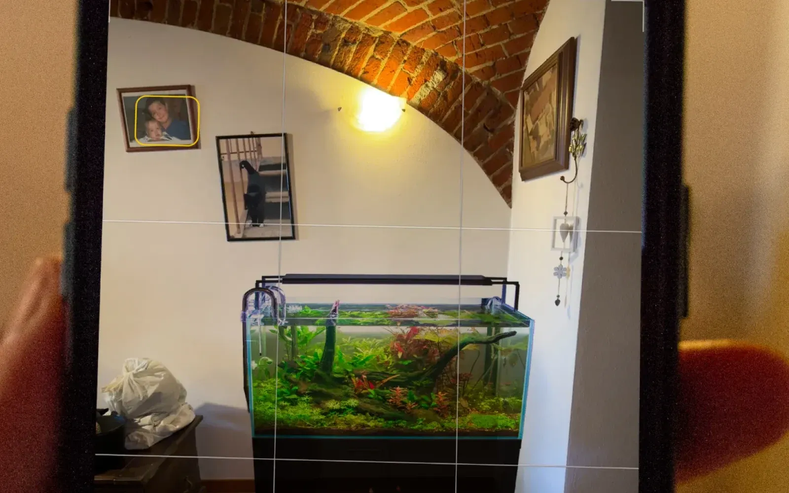 AquaNexus
