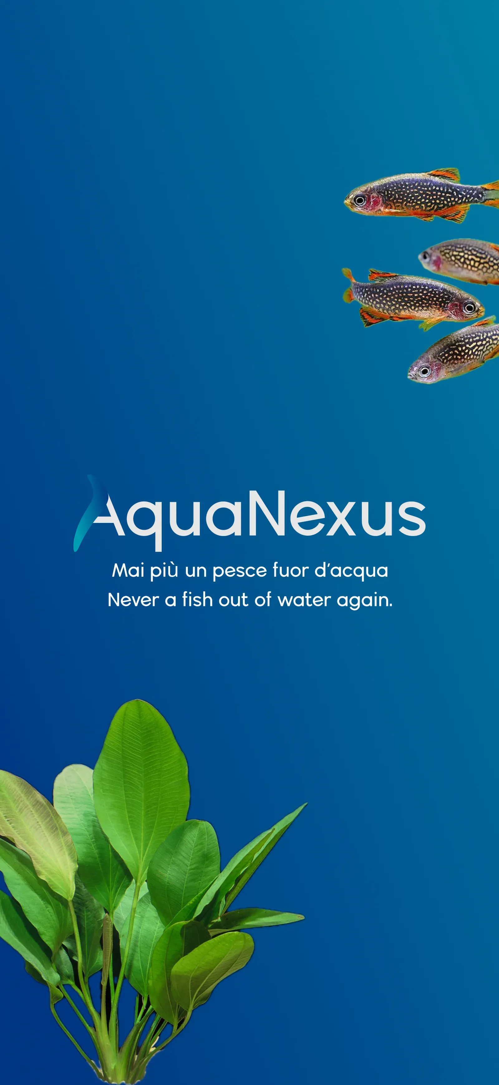 AquaNexus, Assisteret vedligeholdelse